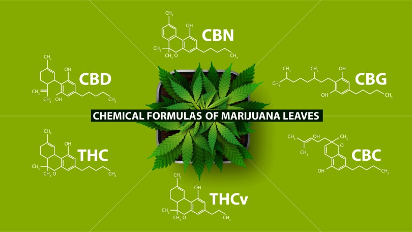 cannabinoid market