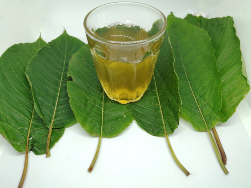 Kratom tea