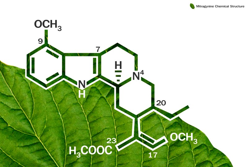 kratom