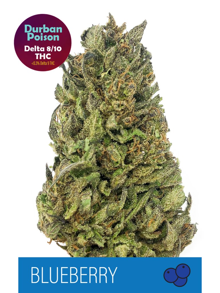 Durban Blueberry Delta 8 + Delta 10 Hybrid Flower - Coupon: REMEMBER