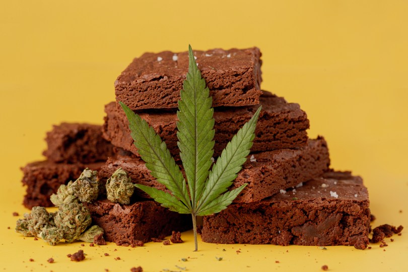 pot brownie