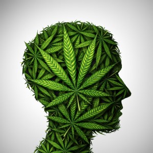 cbd myths