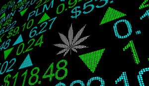 cannabis stocks