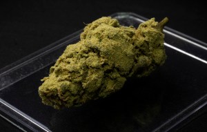 cbd moonrocks