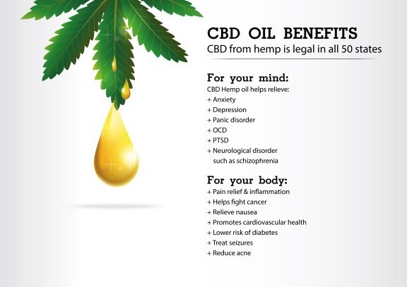 cbd anti-aging