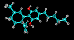 endocannabinoids phytocannabinoids