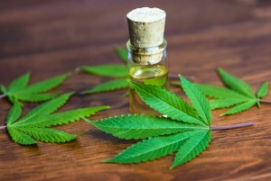 CBD food and supplements still illegal