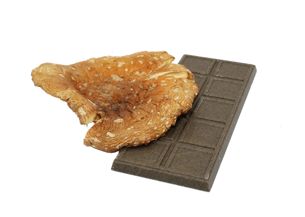 Amanita Muscaria Chocolate - Save with Cannadelics coupon code