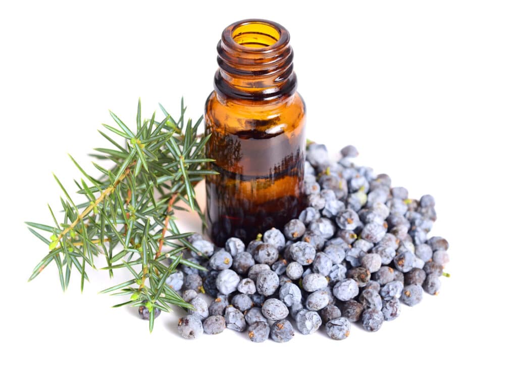 Gin thought of as a medicine due to juniper