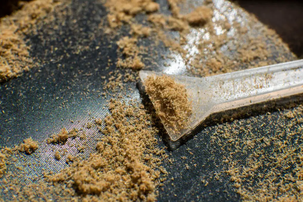 Kief